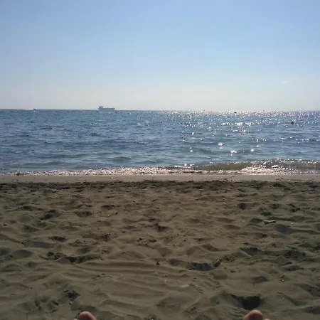 Mystery Shack לימסול