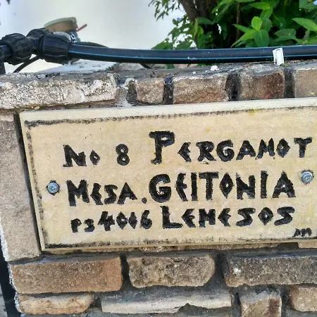 Хостел Mystery Shack