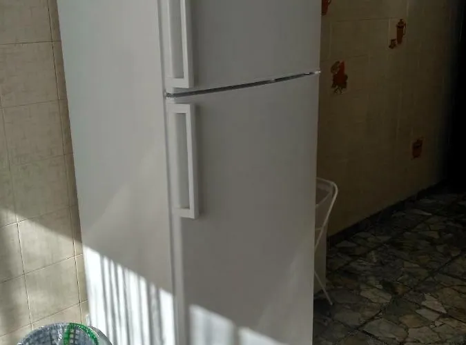 Mystery Shack Hostal